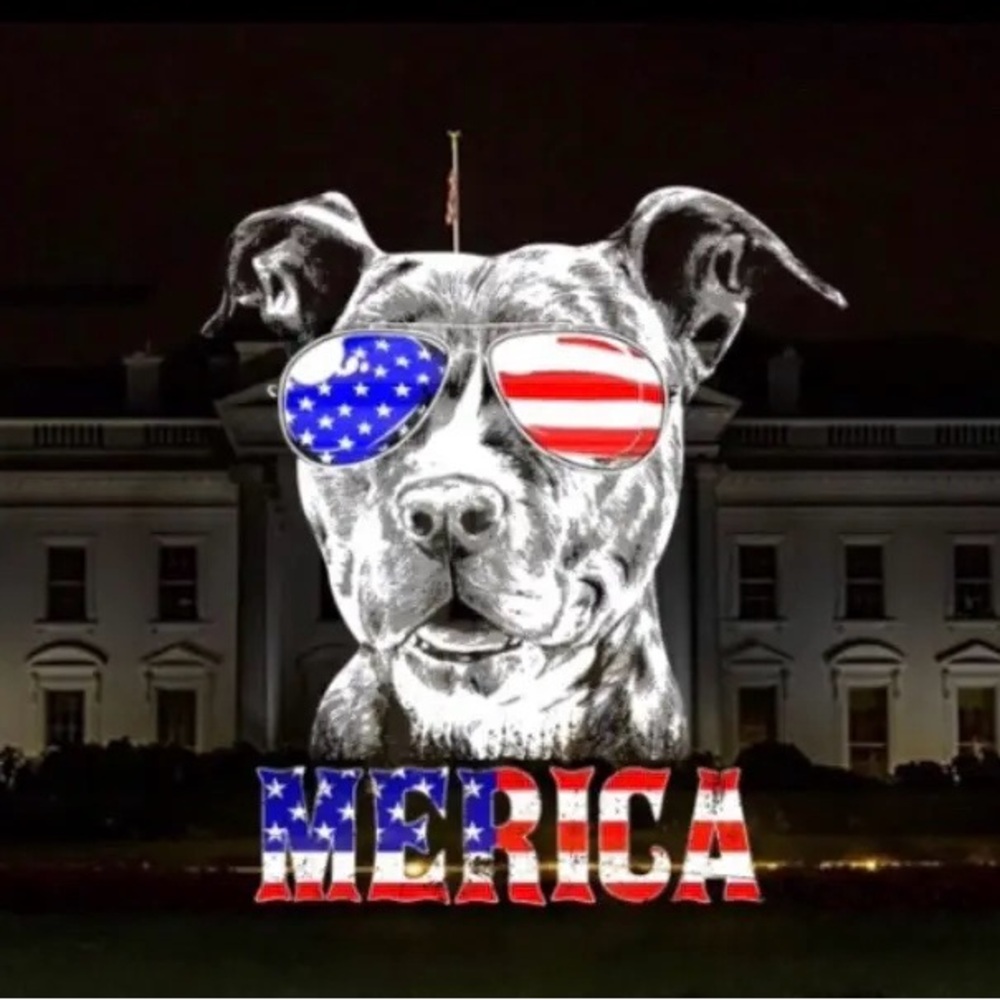 Meet your Posher, Manolin